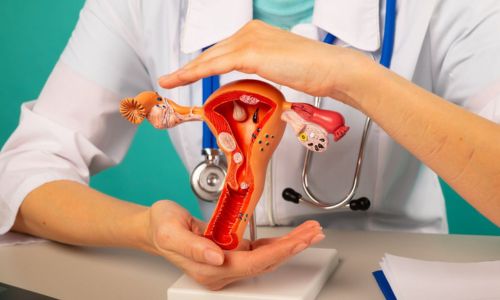 Gynecology Department